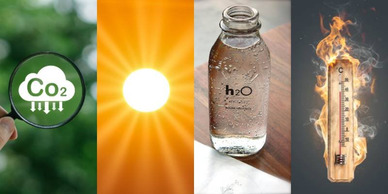 Hoe Koffiebonen Bewaren